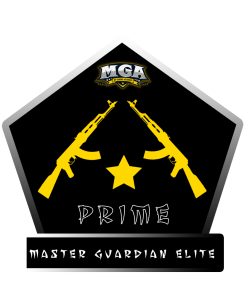 Master Guardian Elite prime