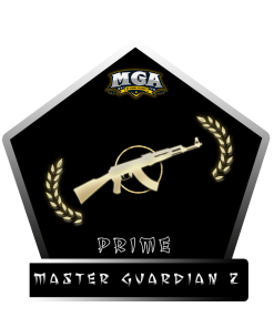 Master Guardian 2